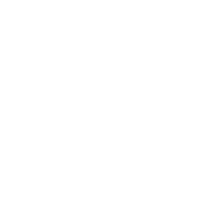 dessin de graminée